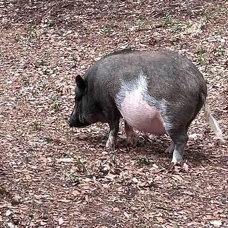 Cocon Entre Et Nature Prázdninový dům *